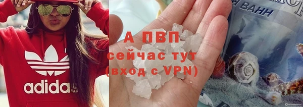 ПСИЛОЦИБИНОВЫЕ ГРИБЫ Волосово