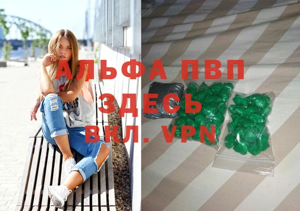 ПСИЛОЦИБИНОВЫЕ ГРИБЫ Волосово