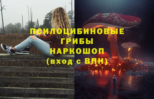 прущие грибы Вяземский